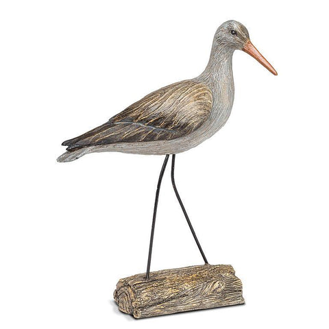 Shore Wading Bird