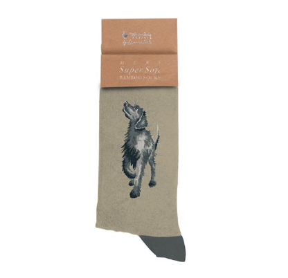 Wrendale Men's Socks, Walkies (Labrador)