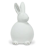 White Sitting Rabbits